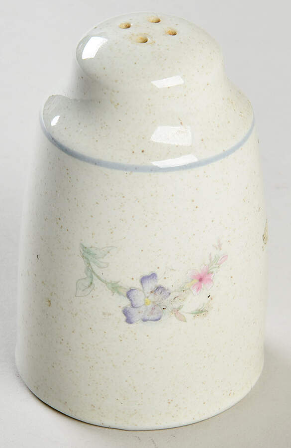Westmoreland Salt Shaker by Royal Doulton-1
