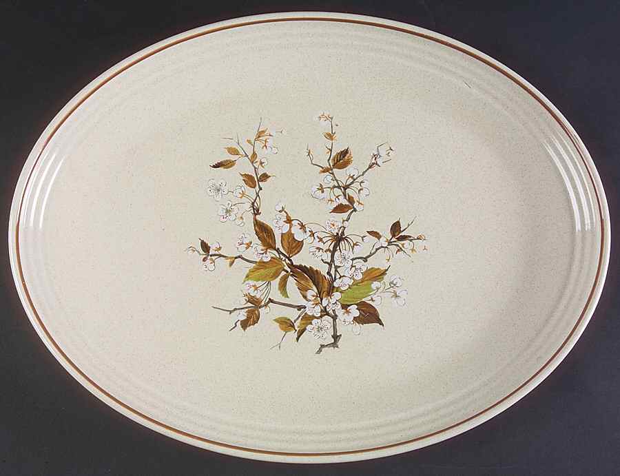 Wild Cherry 16" Oval Serving Platter by Royal Doulton-1