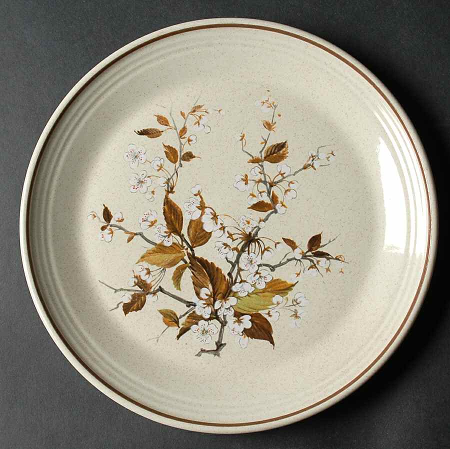 Wild Cherry Salad Plate by Royal Doulton-1