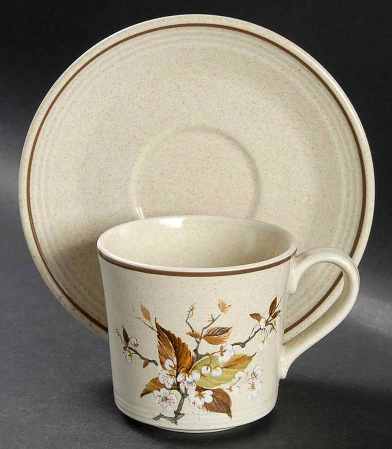 Wild Cherry Flat Cup & Saucer Set by Royal Doulton-1