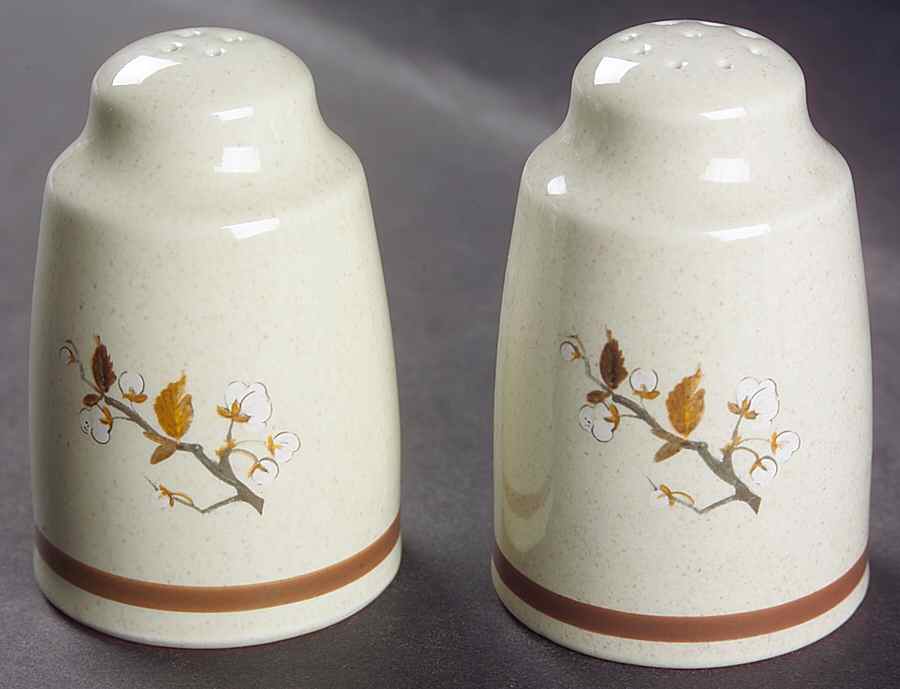 Wild Cherry Salt & Pepper Set by Royal Doulton-1