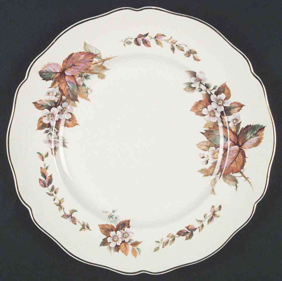 Wilton (Earthenware) Dinner Plate by Royal Doulton-1