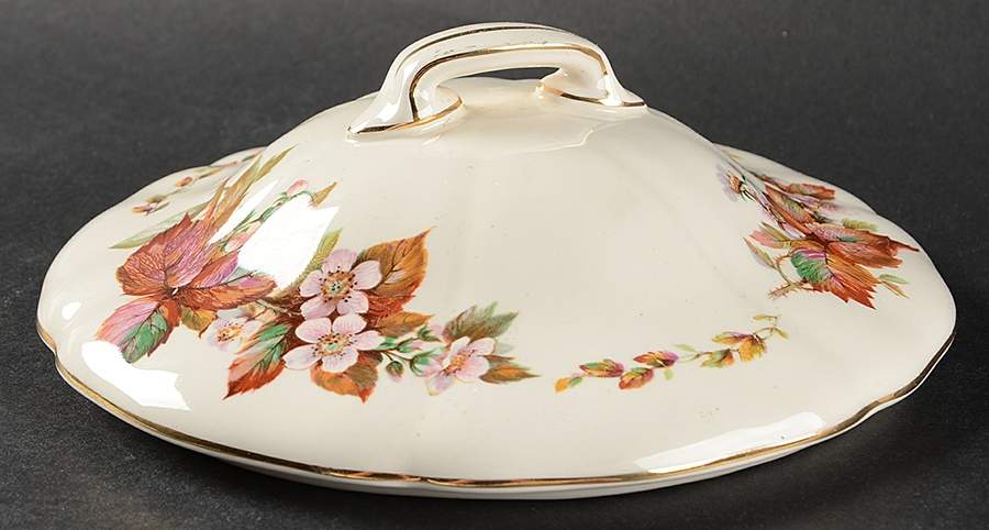 Wilton (Earthenware) Lid for Round Vegetable by Royal Doulton-1
