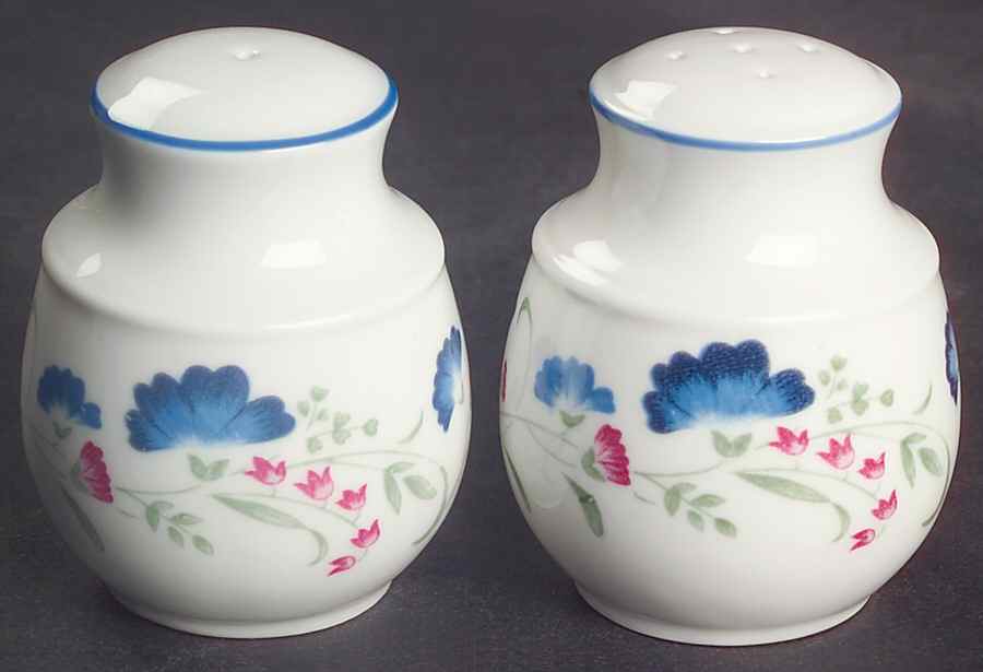 Windermere Salt & Pepper Set by Royal Doulton-1