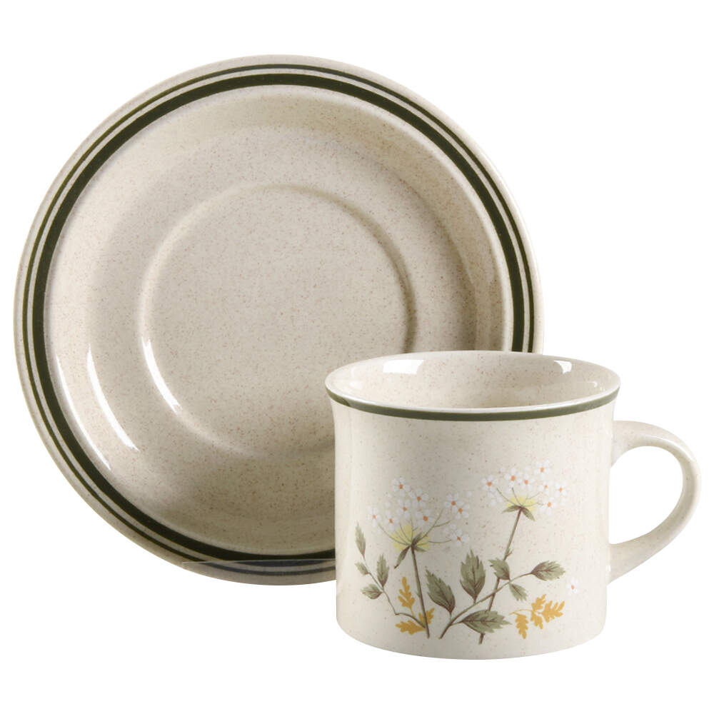 Will O' The Wisp (Double Green Lne) Flat Cup & Saucer Set by Royal Doulton-1