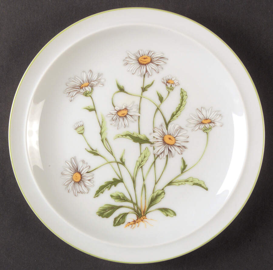 Wild Daisy Salad Plate by Royal Domino-1