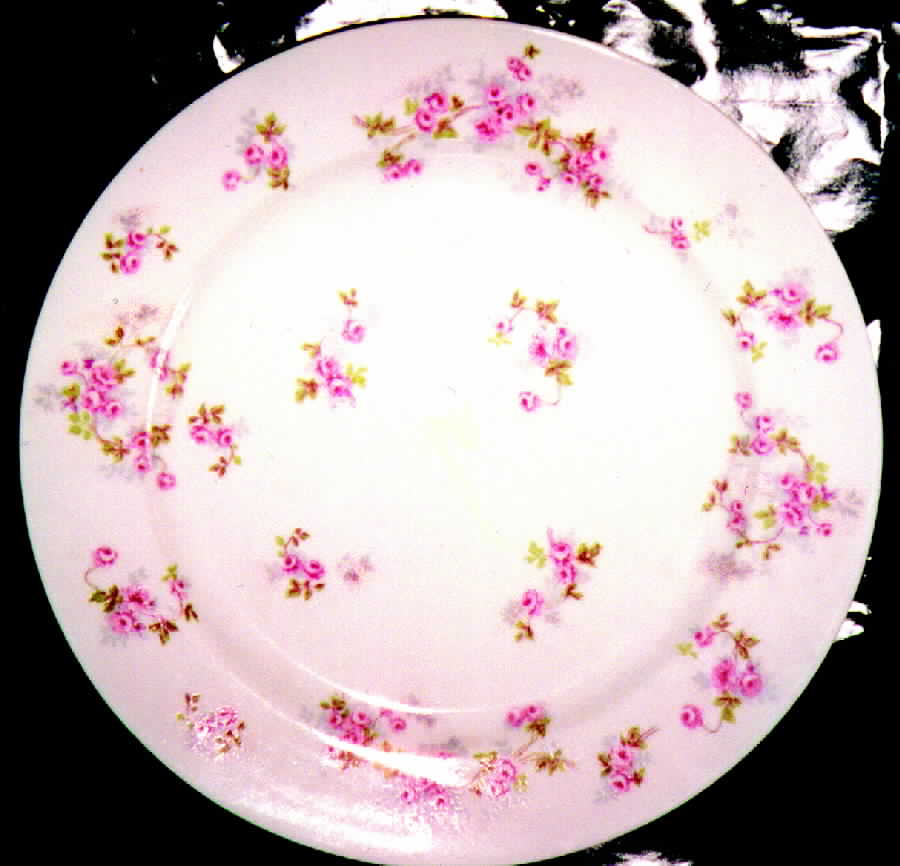 RDN17 Dinner Plate by M Redon-1