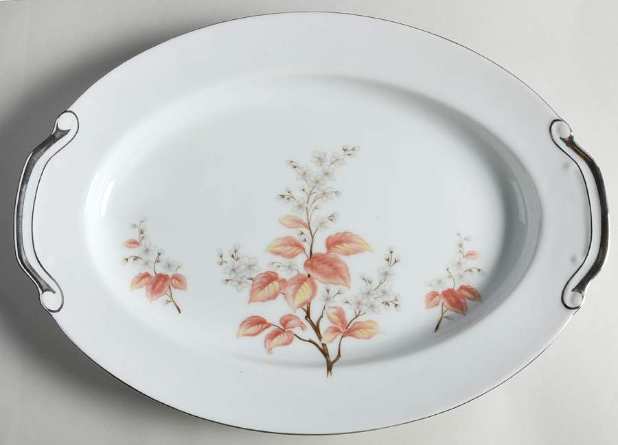 Fontaine 16" Oval Serving Platter by Regal (Japan)-1