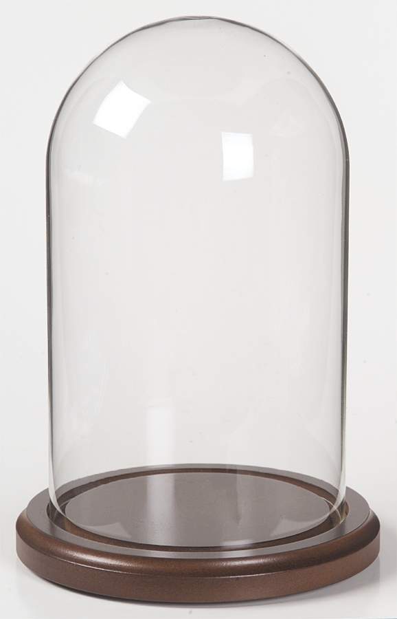 Dinnerware Storage & Cleaning Products Glass Dome With Wooden Base 4" .5" X 8" by Replacements-1