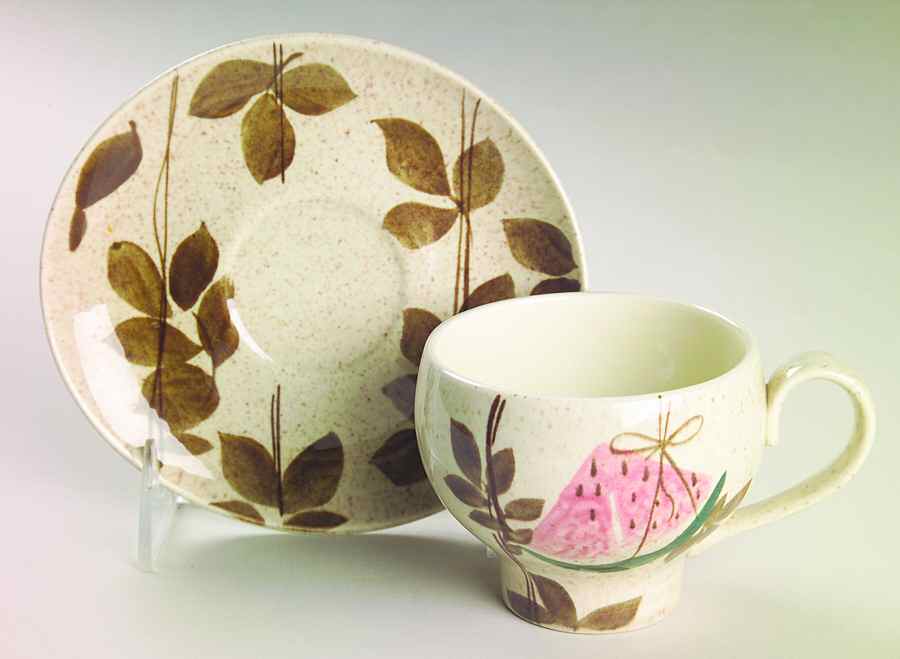 Tampico Flat Cup & Saucer Set by Red Wing-1
