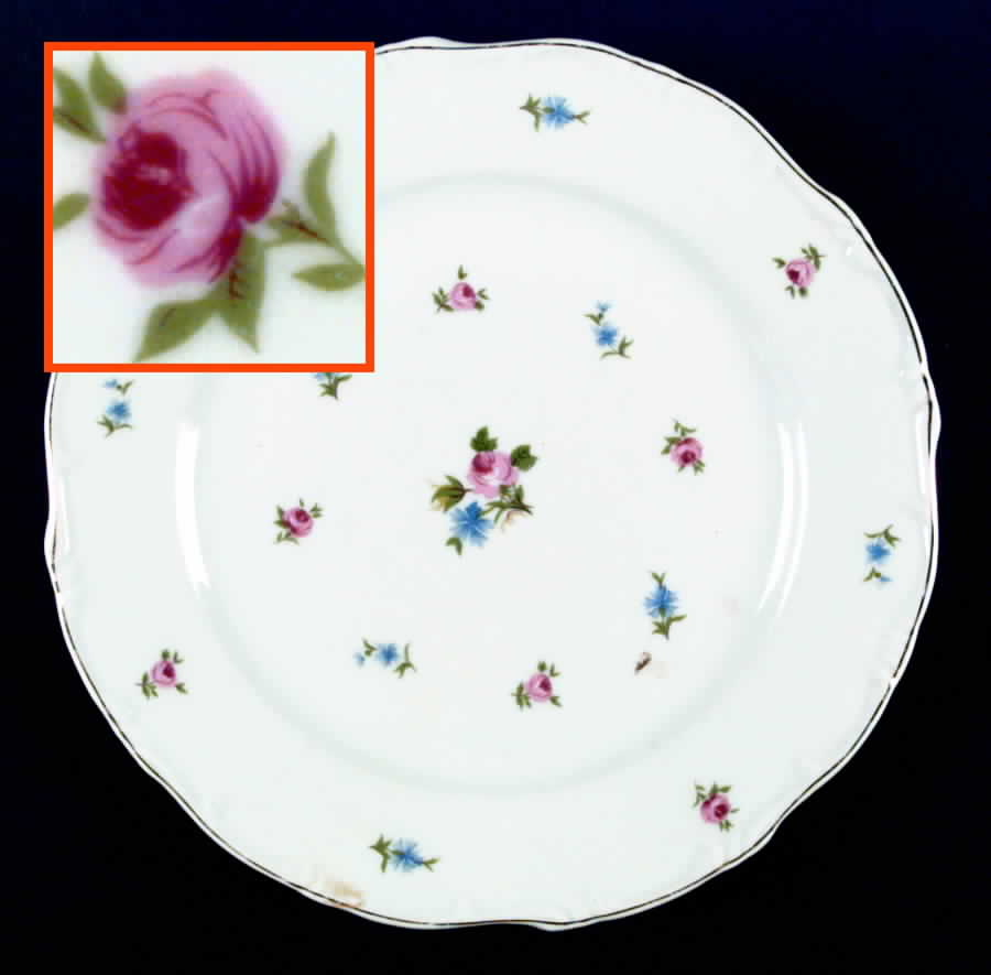 Field Flowers (Brazil) Dinner Plate by Royale Garden-1
