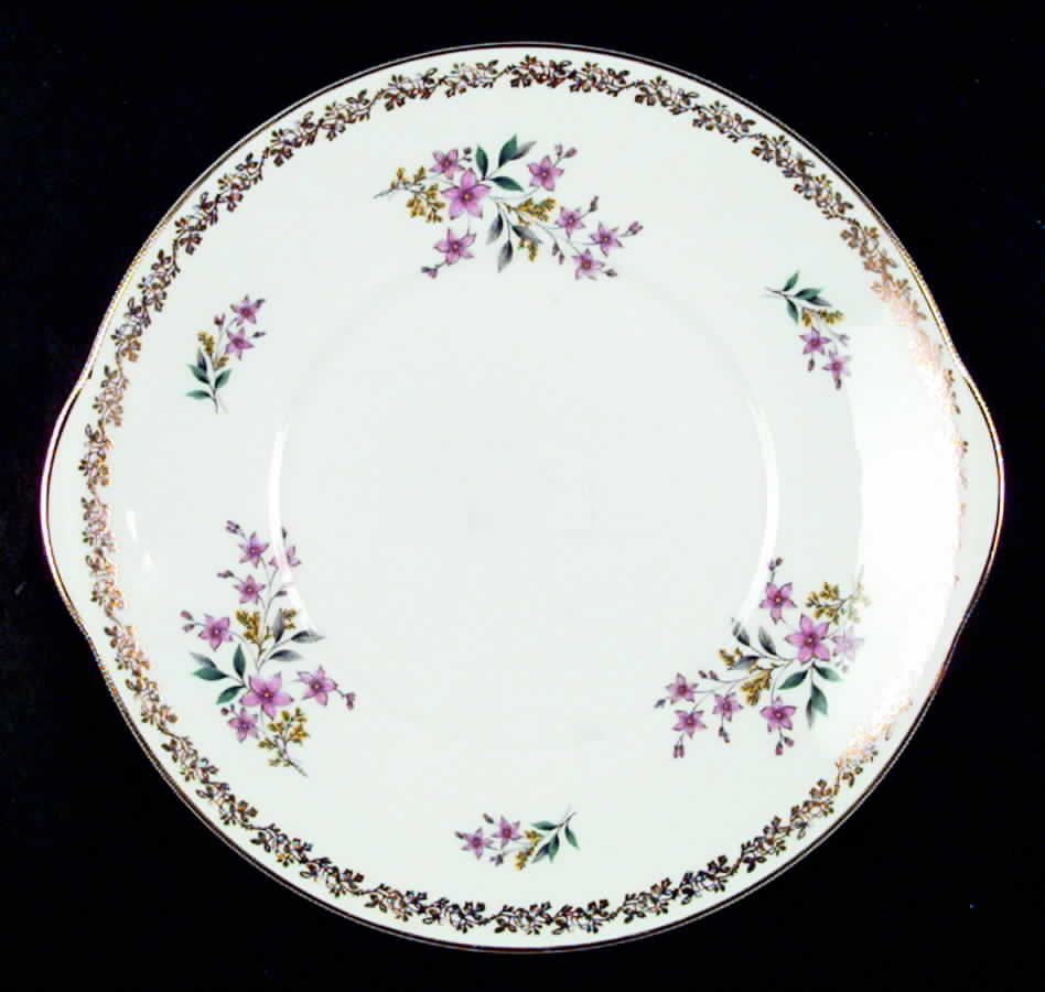 RGR14 Handled Cake Plate by Royal Grafton-1