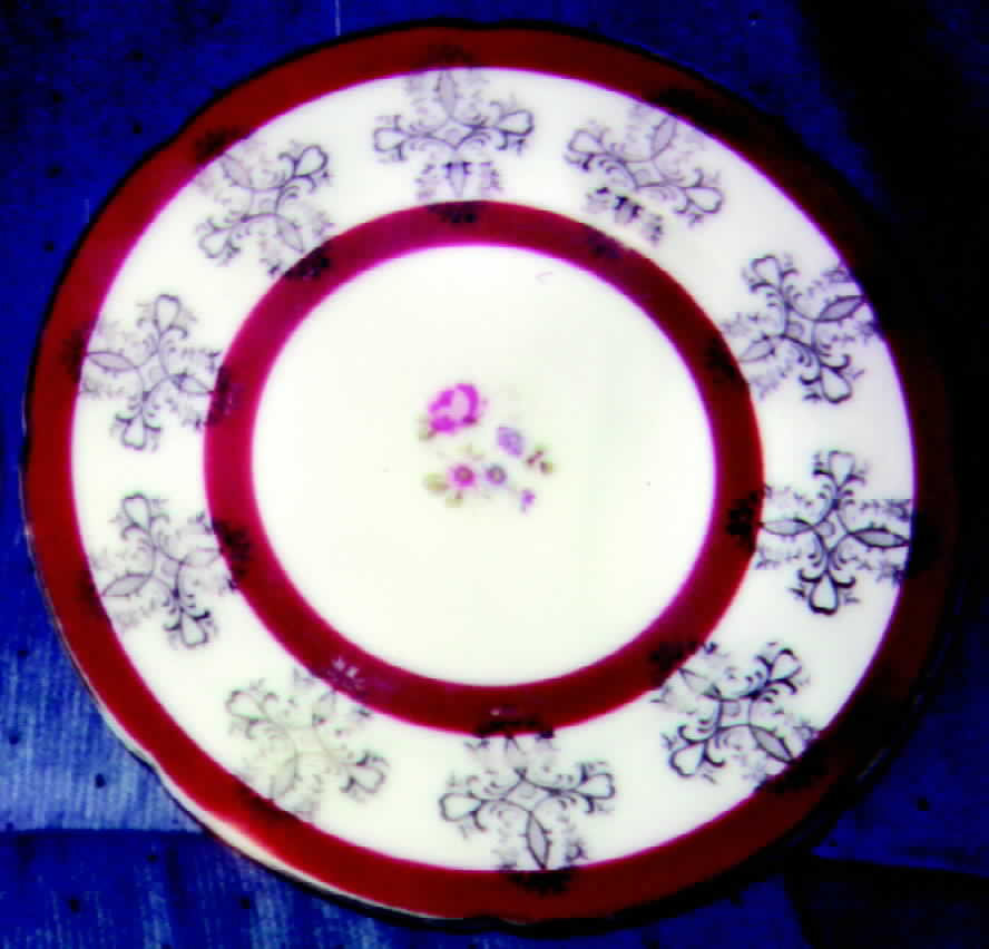 RGR6 Salad Plate by Royal Grafton-1