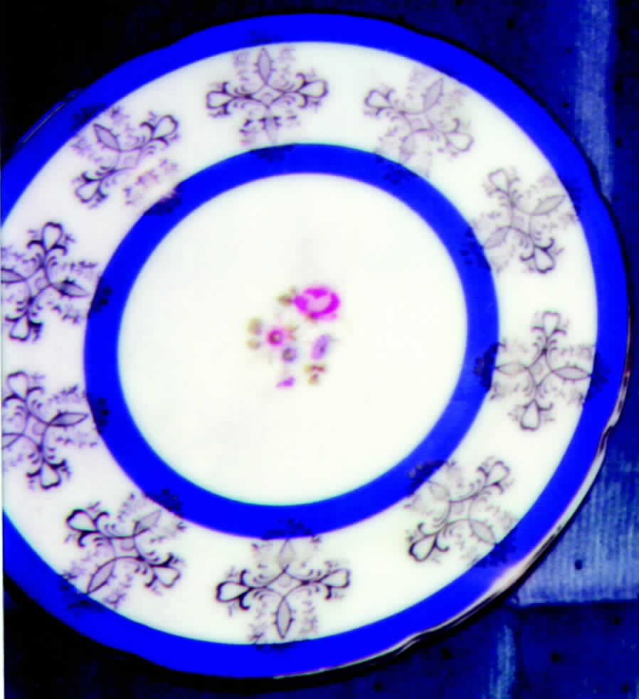 RGR7 Salad Plate by Royal Grafton-1
