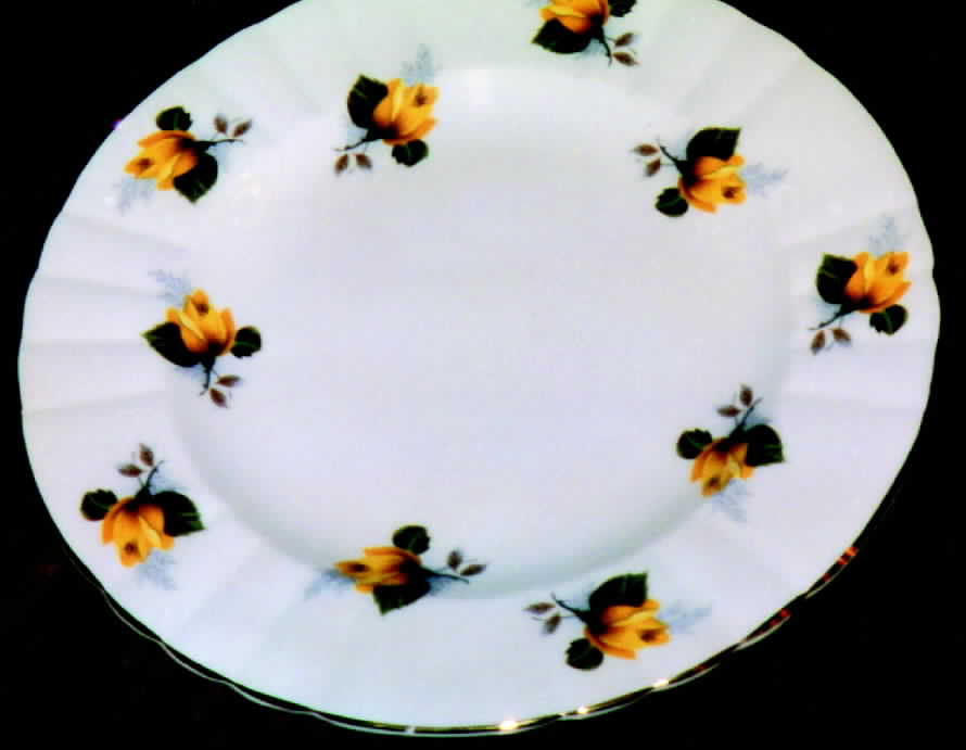 1728 Dinner Plate by Royal Grafton-1