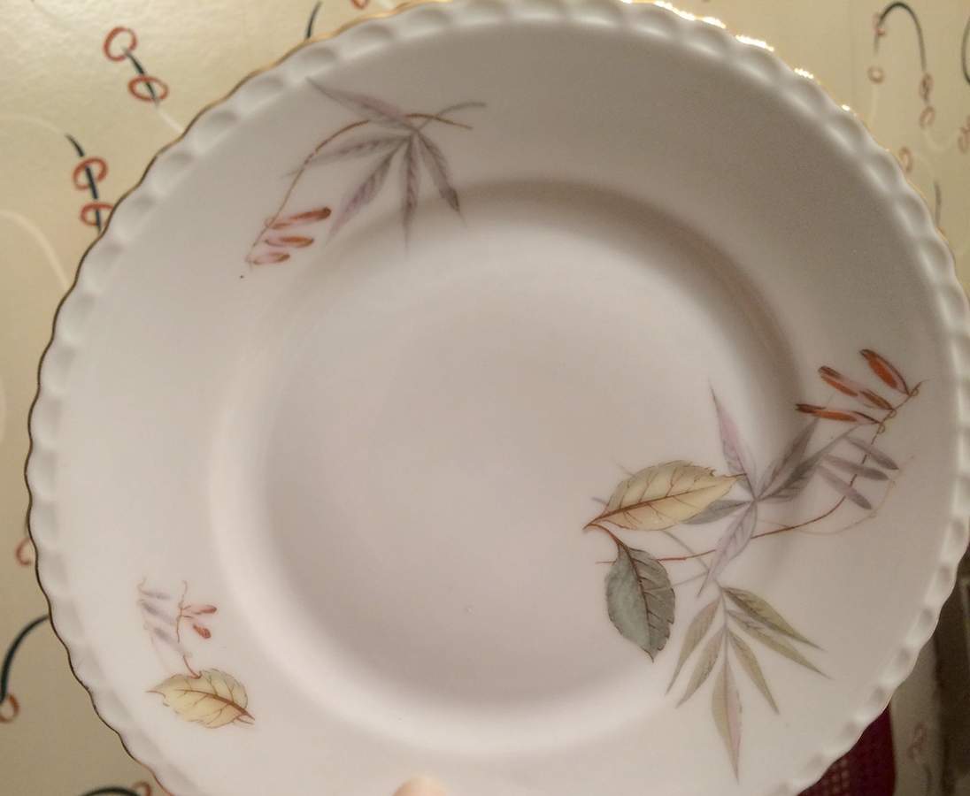 Glenwood Dinner Plate by Royal Hanover-1