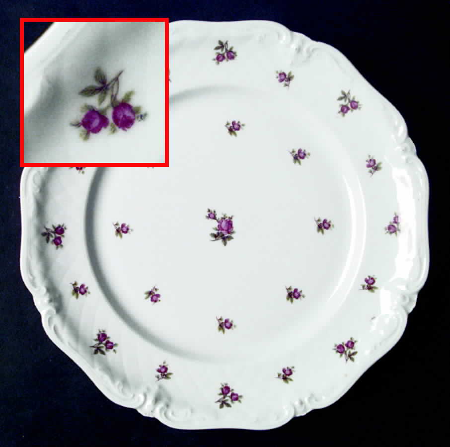 Roslyn Dinner Plate by Royal Hanover-1