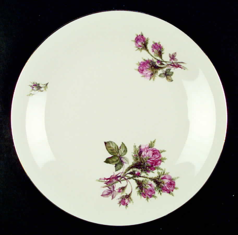 RHN1 Dinner Plate by Rhenania-1