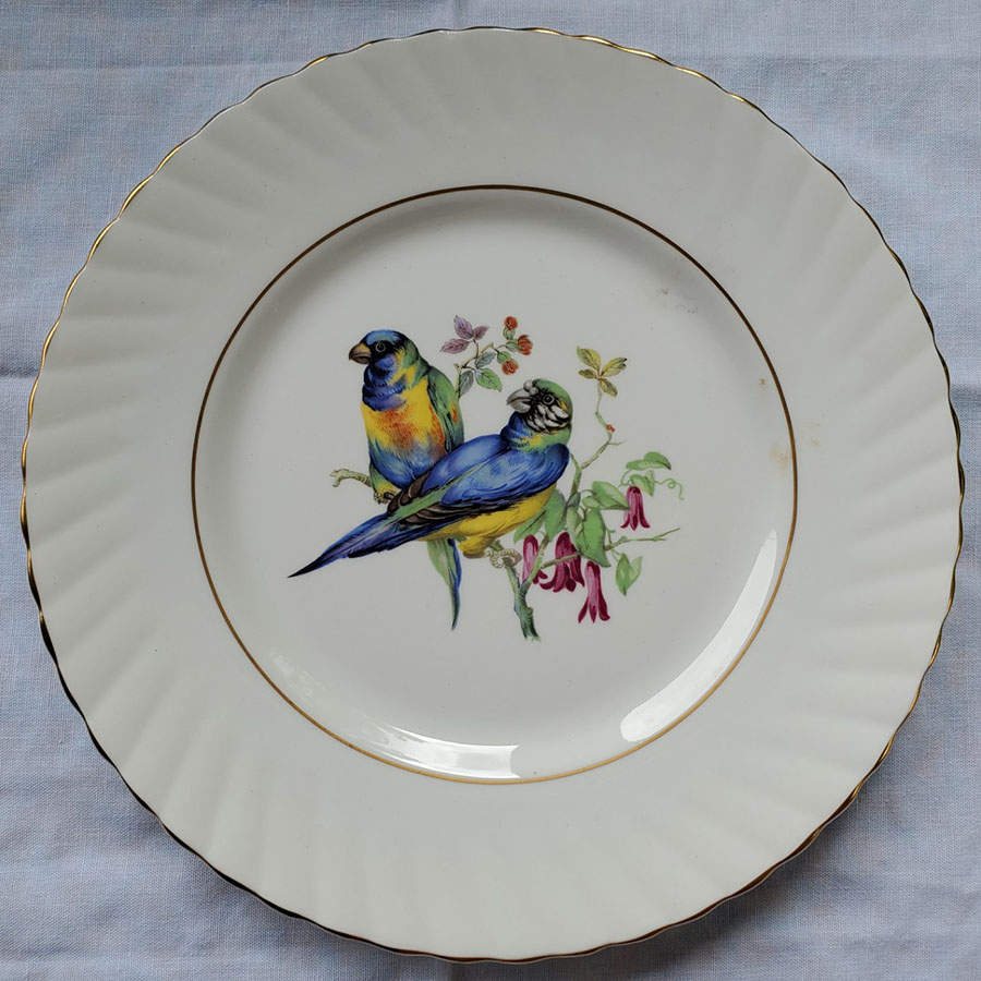 Birds of America Salad Plate by Rosina-Queens-1