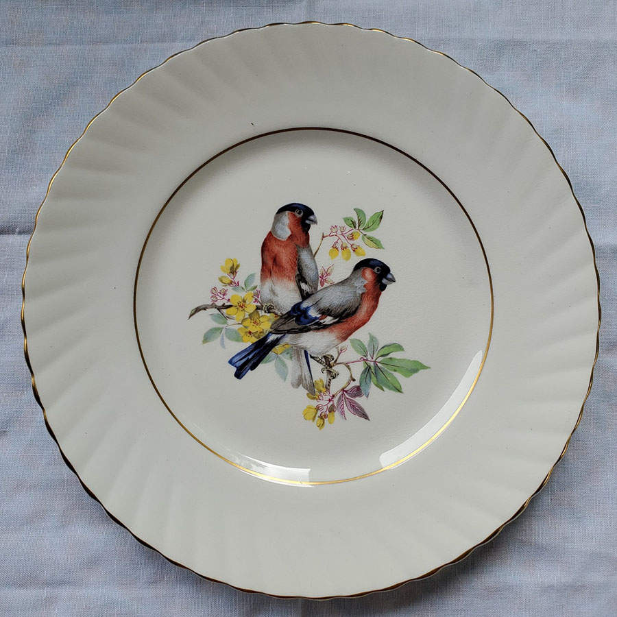 Birds of America Salad Plate by Rosina-Queens-1