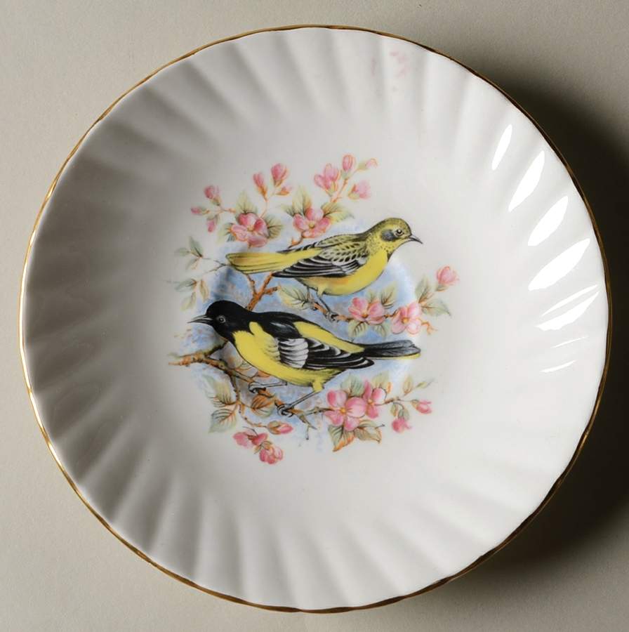 Birds of America Saucer for Footed Cup by Rosina-Queens-1