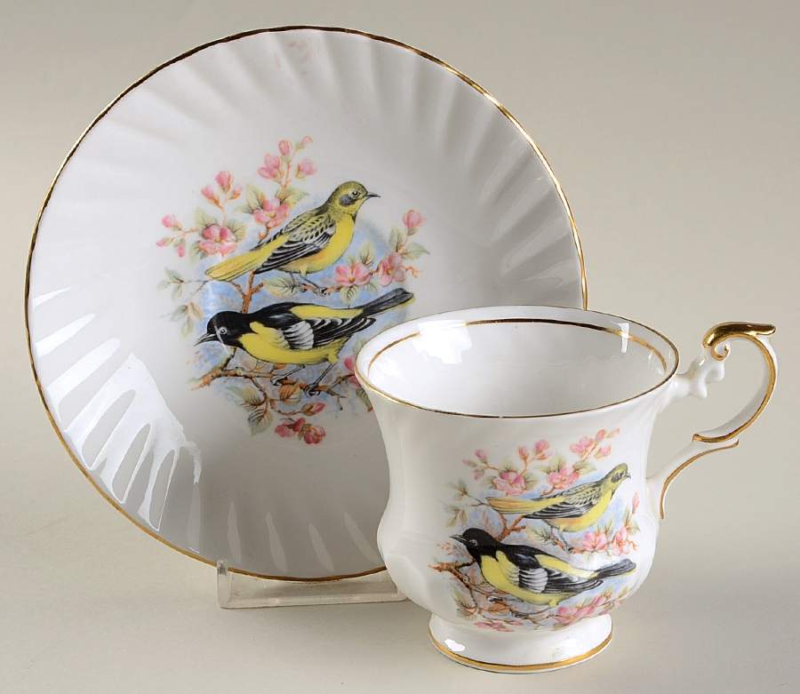 Birds of America Footed Cup & Saucer Set by Rosina-Queens-1