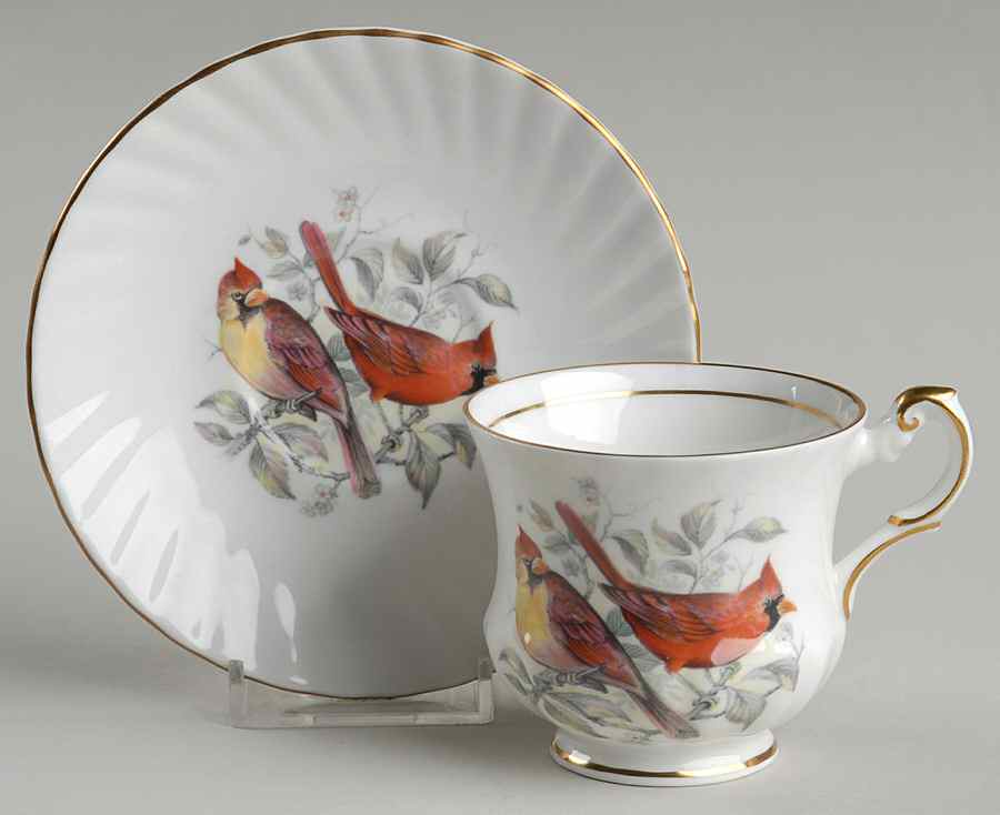 Birds of America Footed Cup & Saucer Set by Rosina-Queens-1