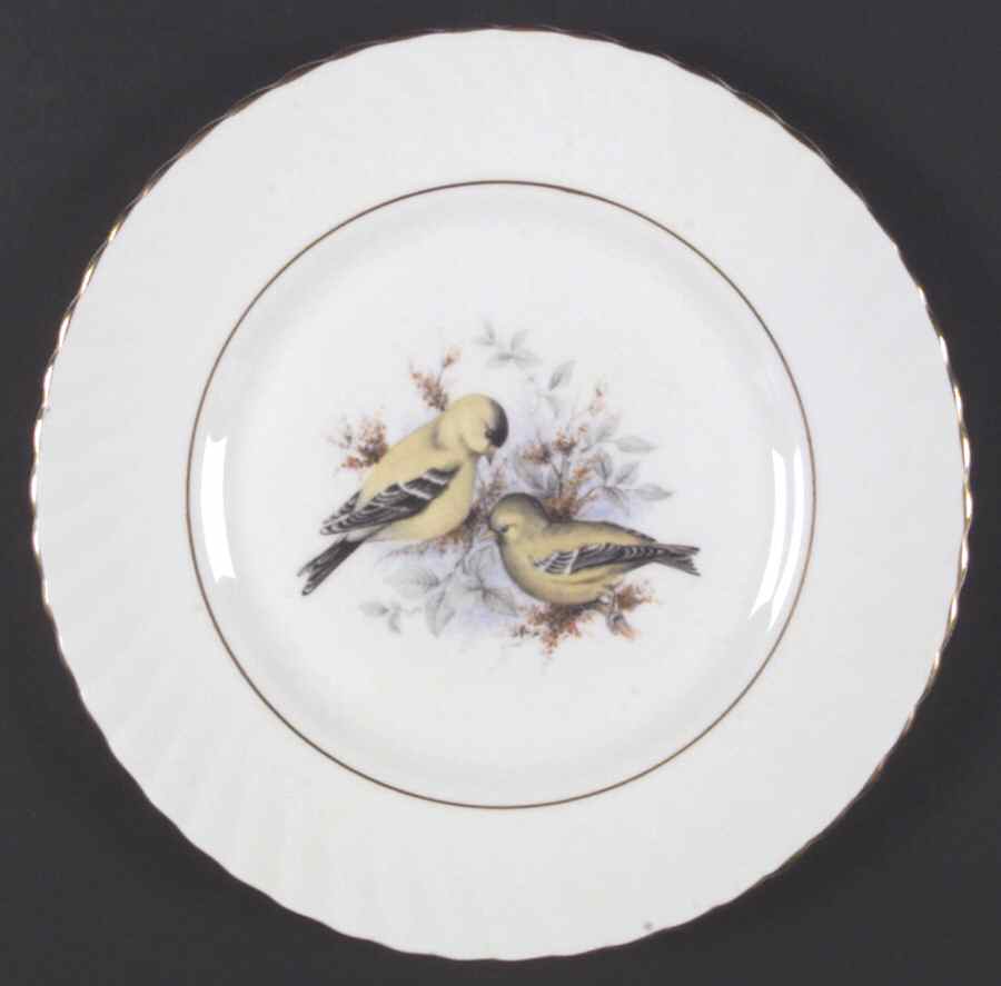 Birds of America Salad Plate by Rosina-Queens-1