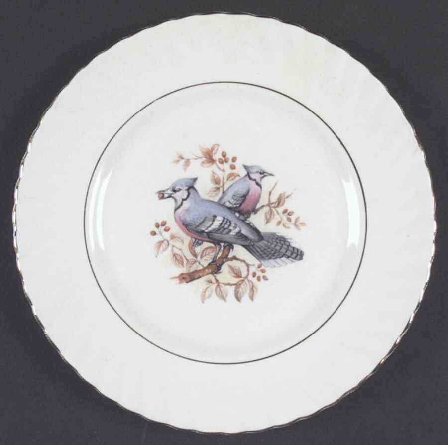 Birds of America Salad Plate by Rosina-Queens-1