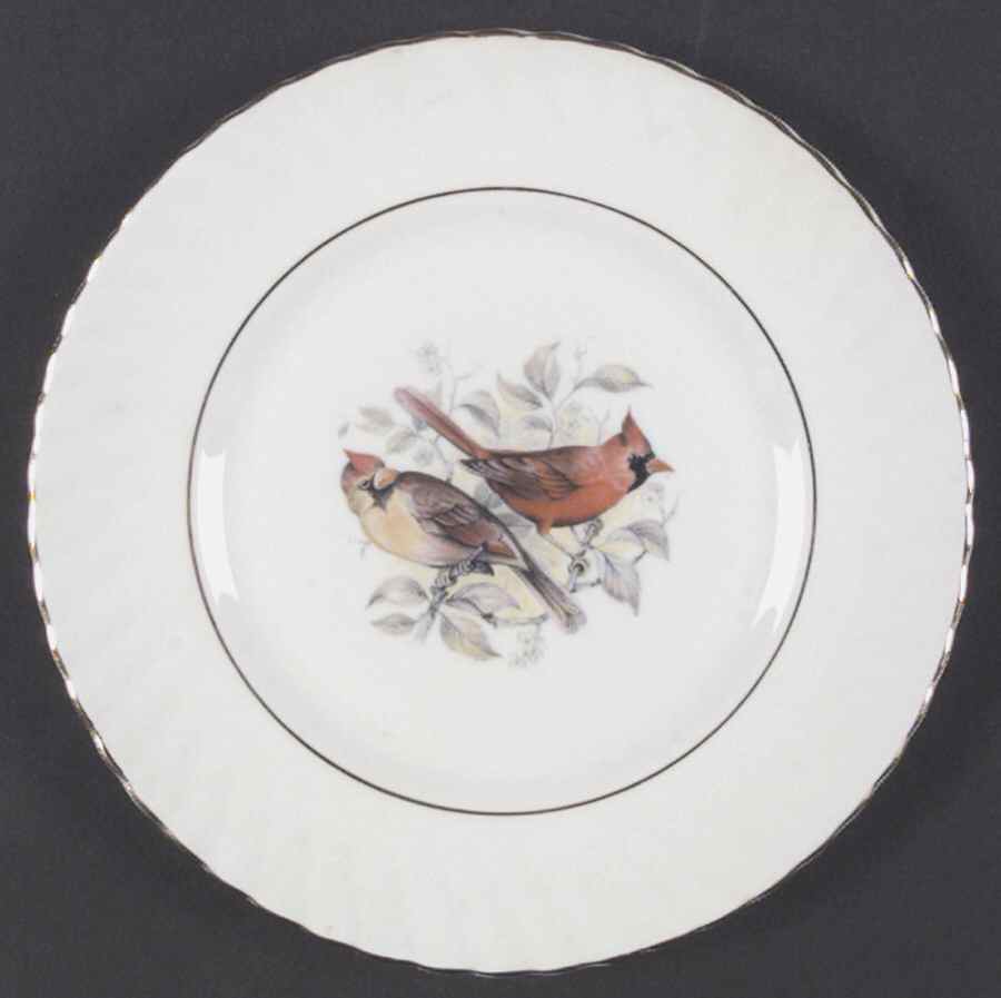 Birds of America Salad Plate by Rosina-Queens-1