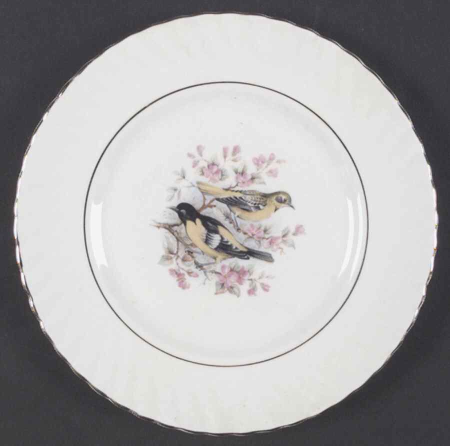 Birds of America Salad Plate by Rosina-Queens-1
