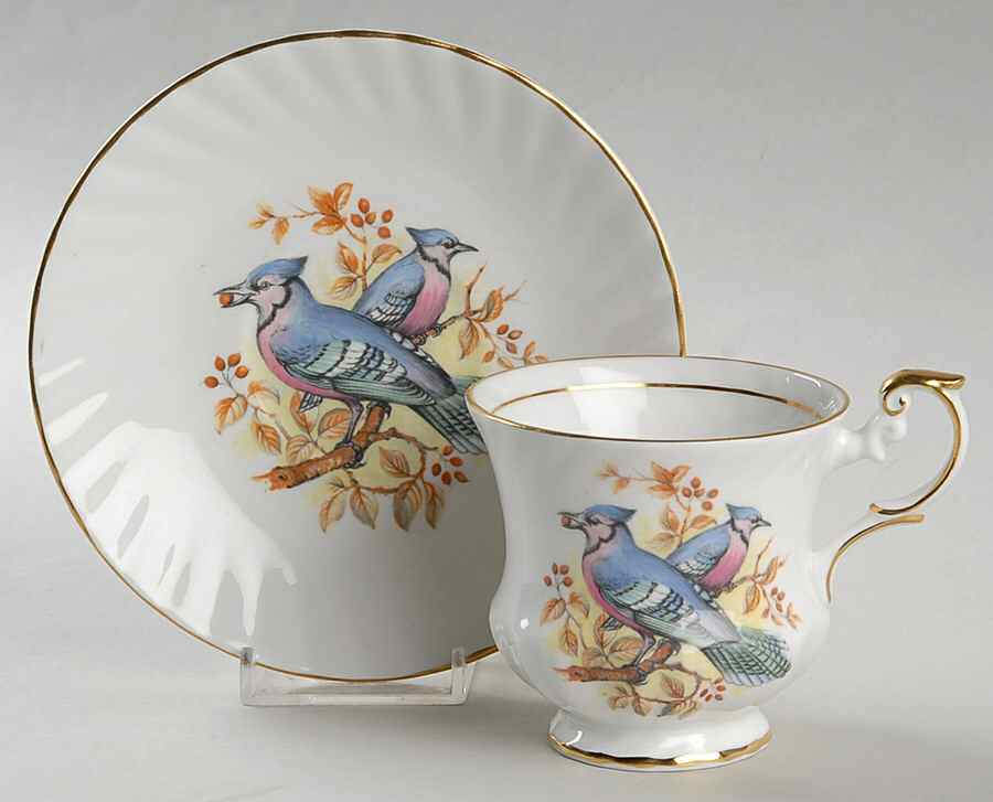 Birds of America Footed Cup & Saucer Set by Rosina-Queens-1