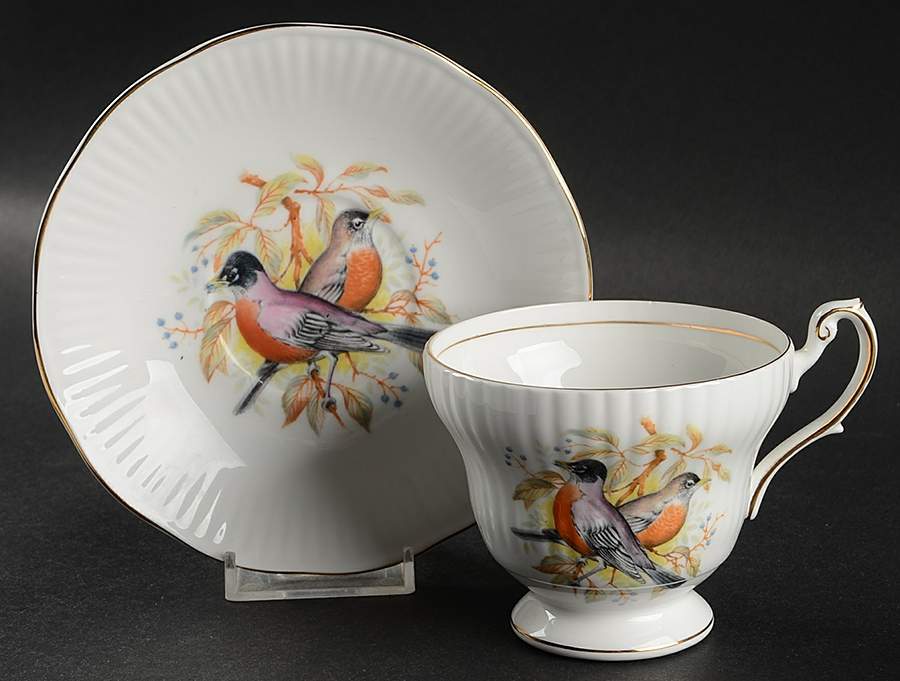 Birds of America Footed Cup & Saucer Set by Rosina-Queens-1