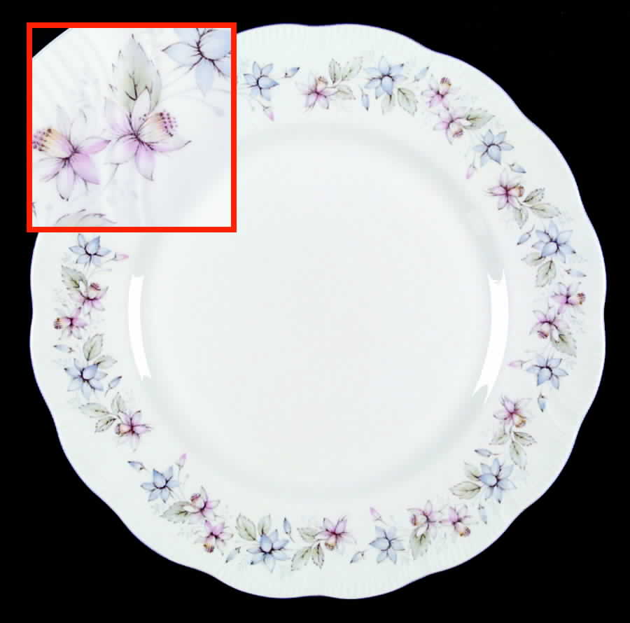 Claire Dinner Plate by Rosina-Queens-1