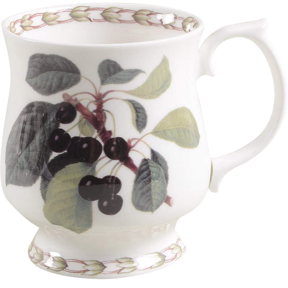 Hooker's Fruit (Bone, Made In England) Footed Mug by Rosina-Queens-1