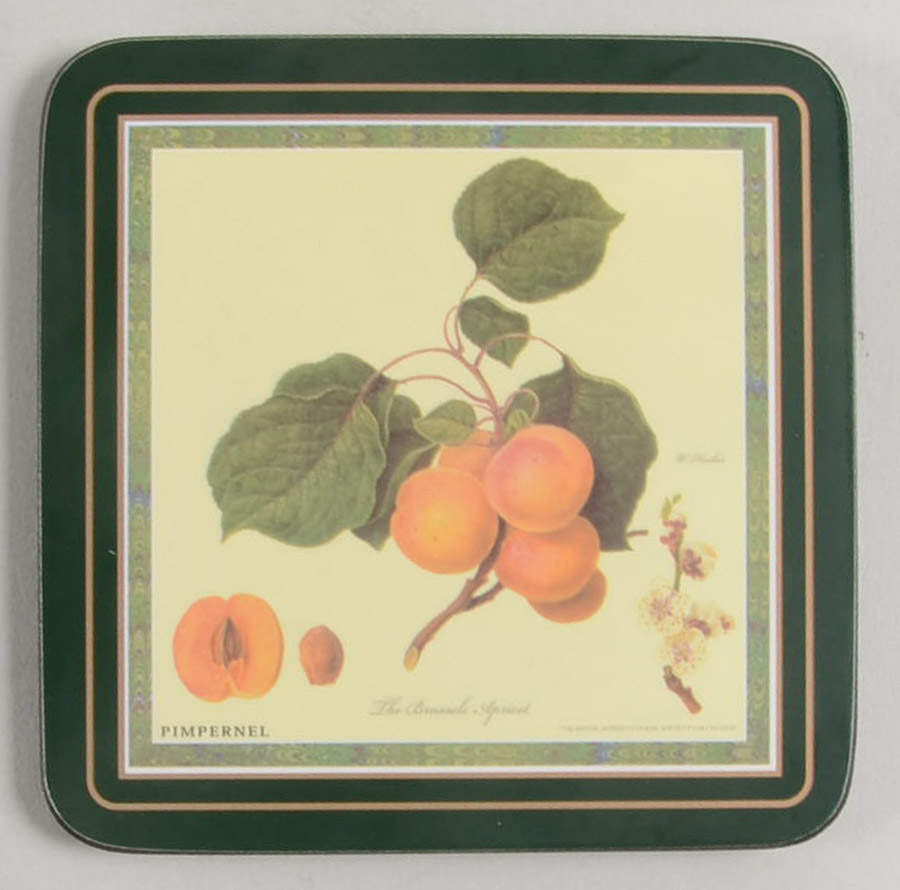 Hooker's Fruit (Bone, Made In England) Square Corkback Coaster by Rosina-Queens-1
