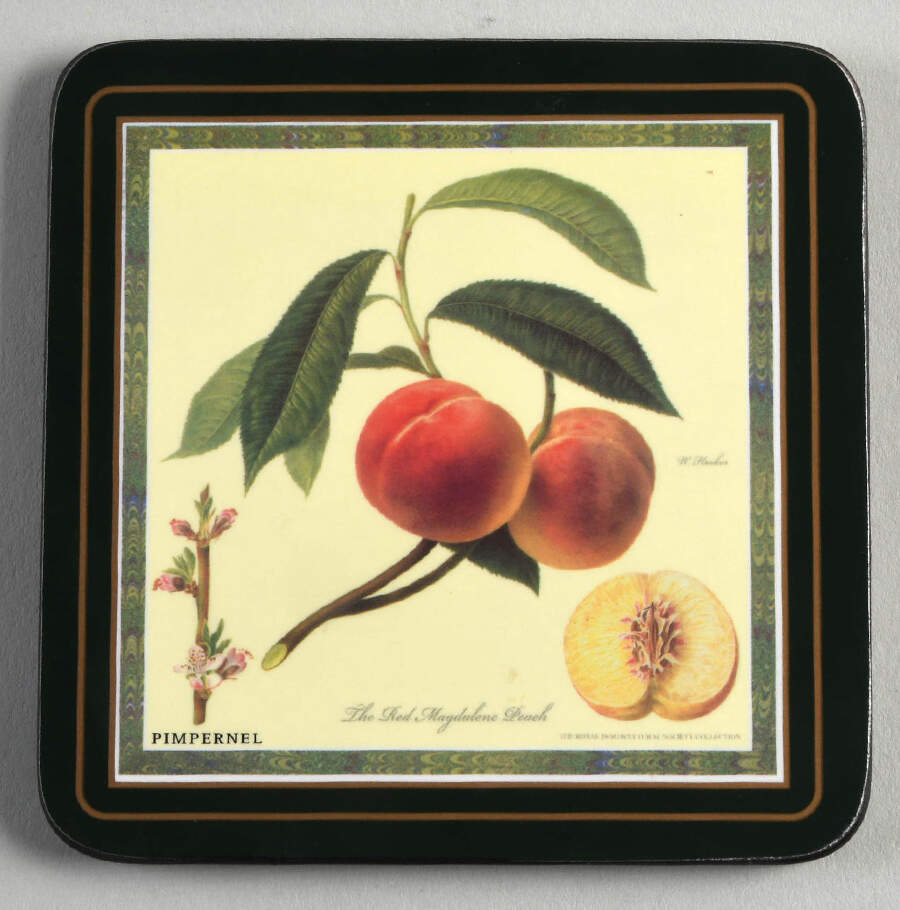 Hooker's Fruit (Bone, Made In England) Suare Corkback Coaster by Rosina-Queens-1