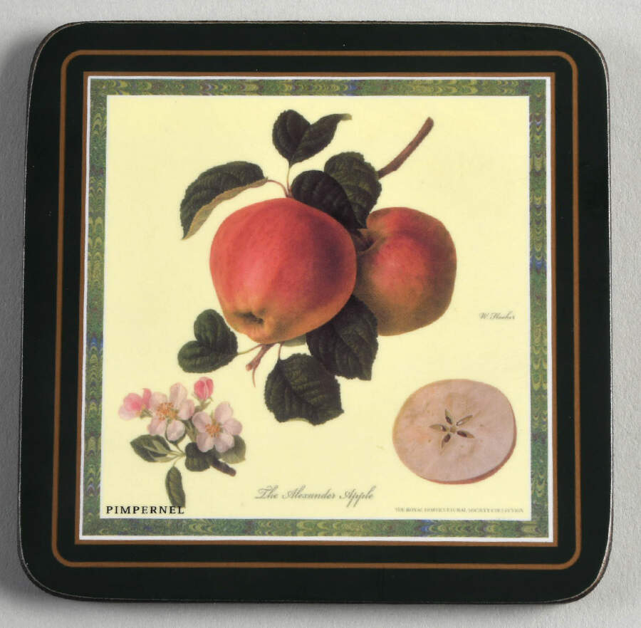 Hooker's Fruit (Bone, Made In England) Square Corkback Coaster by Rosina-Queens-1