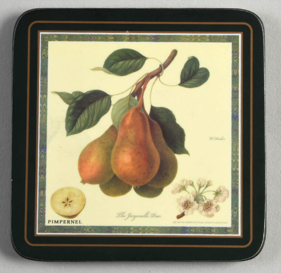 Hooker's Fruit (Bone, Made In England) Square Corkback Coaster by Rosina-Queens-1