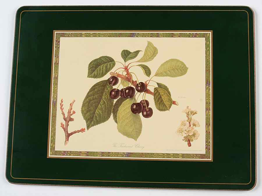 Hooker's Fruit (Bone, Made In England) Corkboard Placemat by Rosina-Queens-1