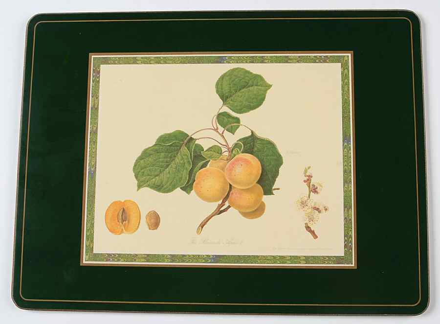 Hooker's Fruit (Bone, Made In England) Corkboard Placemat by Rosina-Queens-1