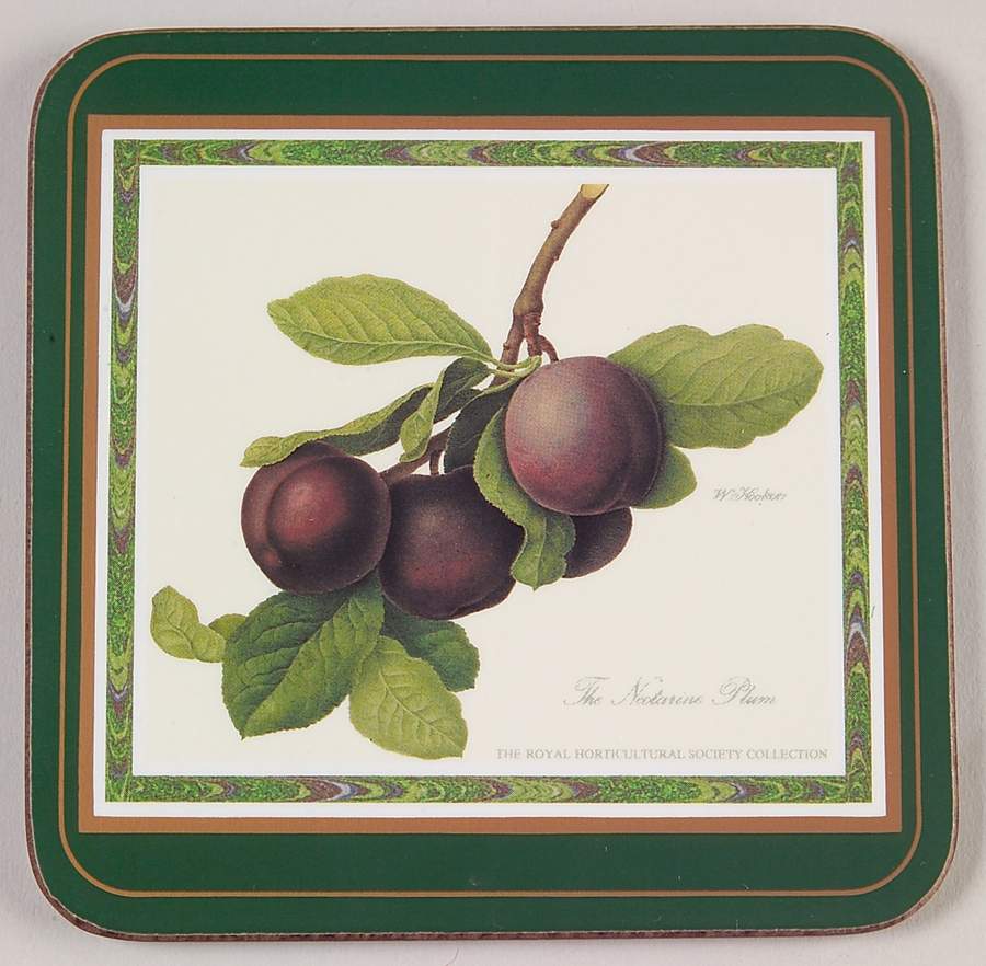 Hooker's Fruit (Bone, Made In England) Square Corkback Coaster by Rosina-Queens-1