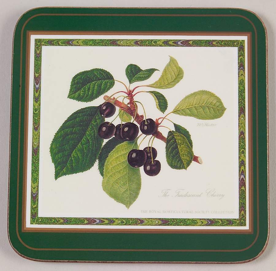 Hooker's Fruit (Bone, Made In England) Square Corkback Coaster by Rosina-Queens-1