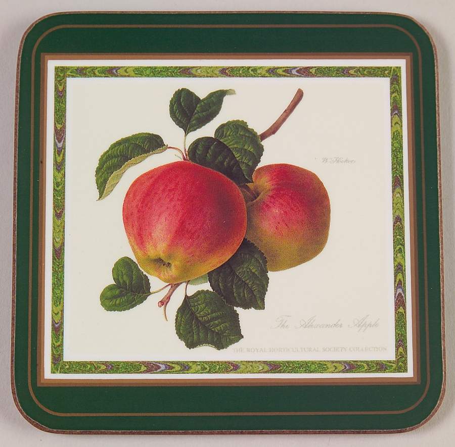 Hooker's Fruit (Bone, Made In England) Square Corkback Coaster by Rosina-Queens-1