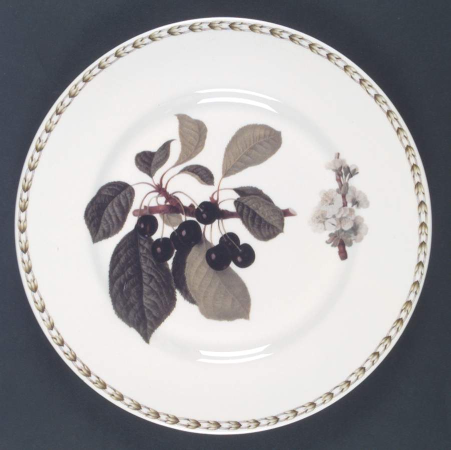Hooker's Fruit (Bone, Made In England) Dinner Plate by Rosina-Queens-1