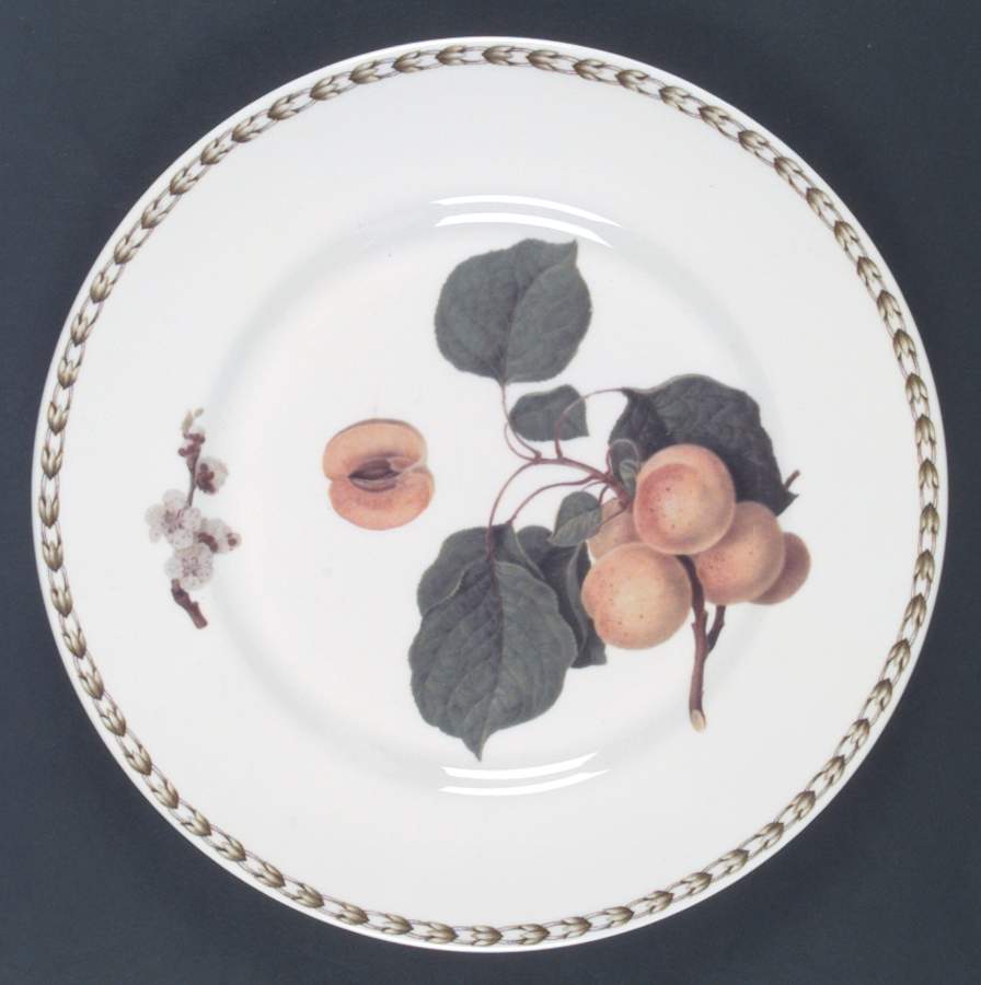 Hooker's Fruit (Bone, Made In England) Dinner Plate by Rosina-Queens-1
