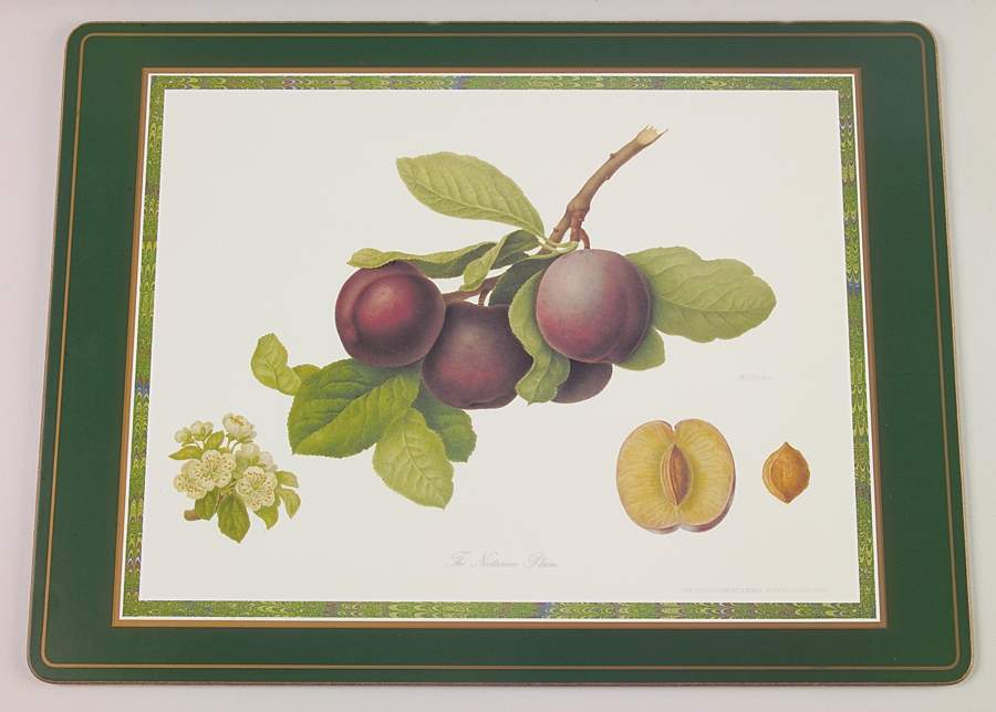 Hooker's Fruit (Bone, Made In England) Corkboard Placemat by Rosina-Queens-1
