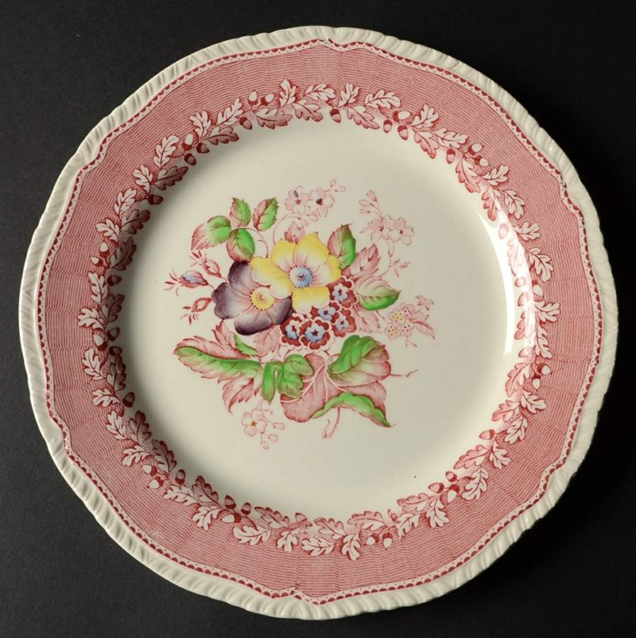 877 Dinner Plate by Ridgway (Ridgways)-1