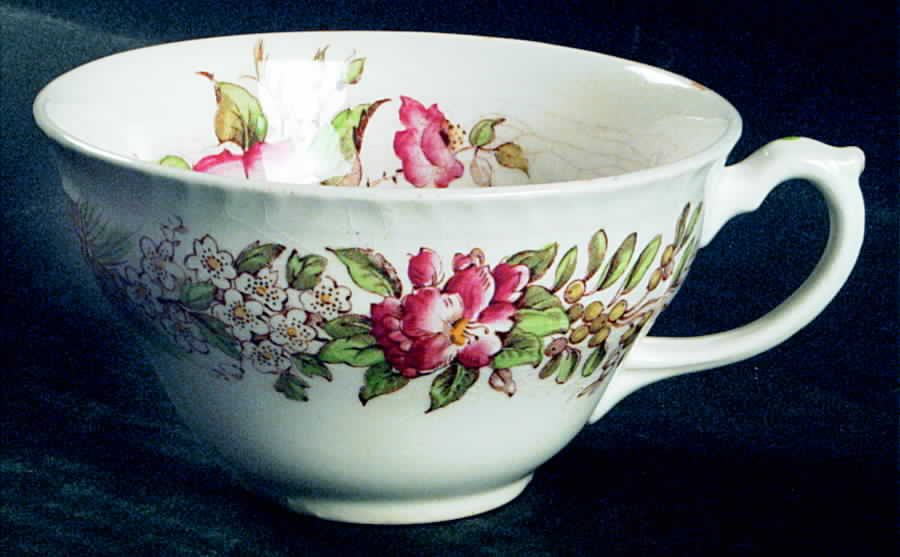 American State Flowers Flat Cup by Ridgway (Ridgways)-1