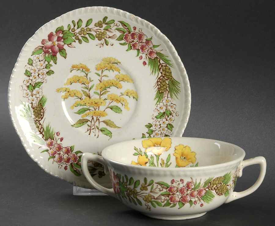 American State Flowers Flat Cream Soup Bowl & Saucer Set by Ridgway (Ridgways)-1